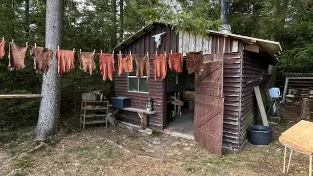 Barkgarvning - lav dit eget læder