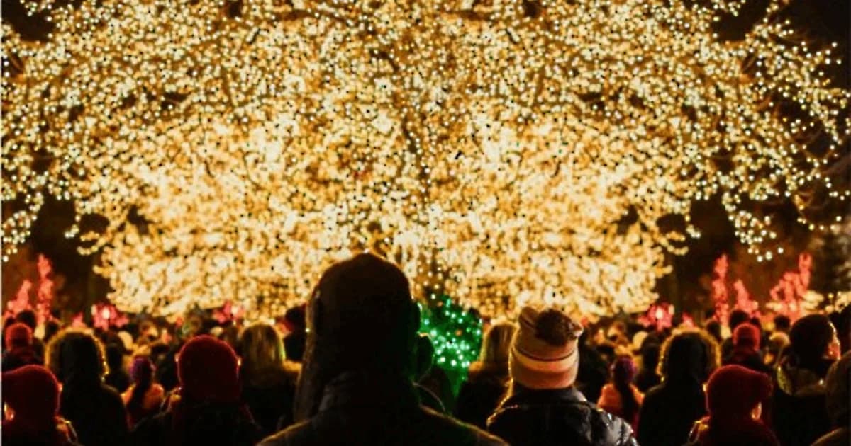 Juletur til Odense med Zoo og Julemarked