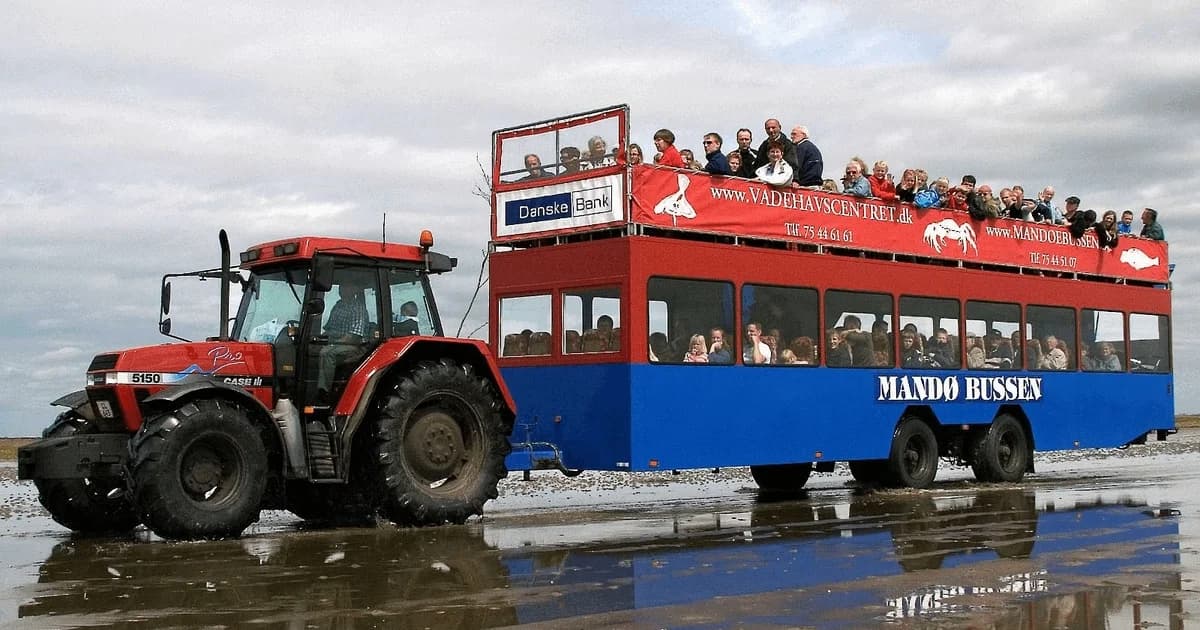 Østerstur med traktorbus