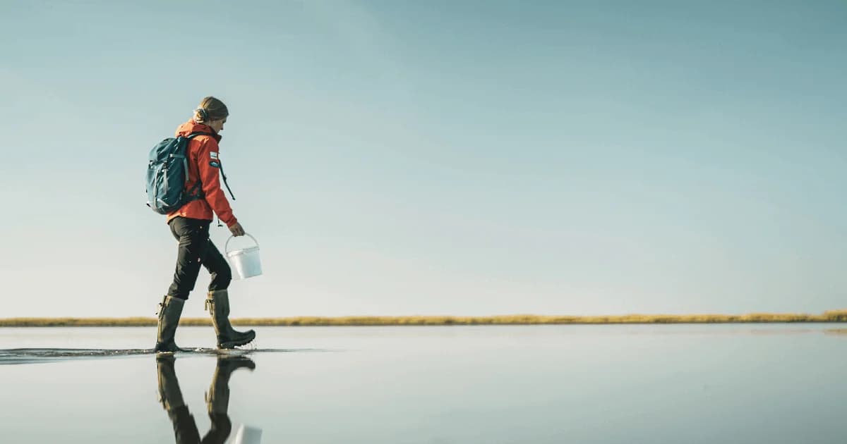 Østerssafari på 10 km med Vadehavscentret