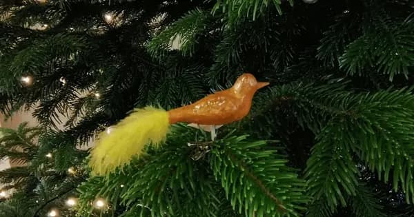 Et hav af julerier på Vadehavscentret