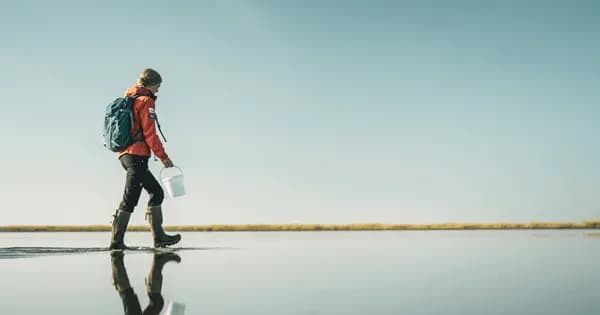 Østerssafari på 10 km med Vadehavscentret