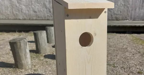 Byg dit eget fuglehus