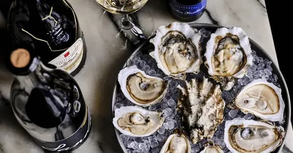 Naturvin og østers med gæstesommelier på Ribe Pakhus