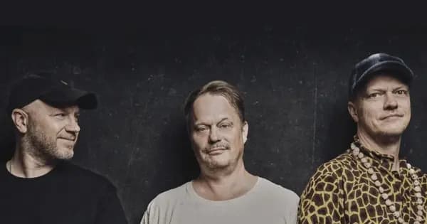 Malk De Koijn