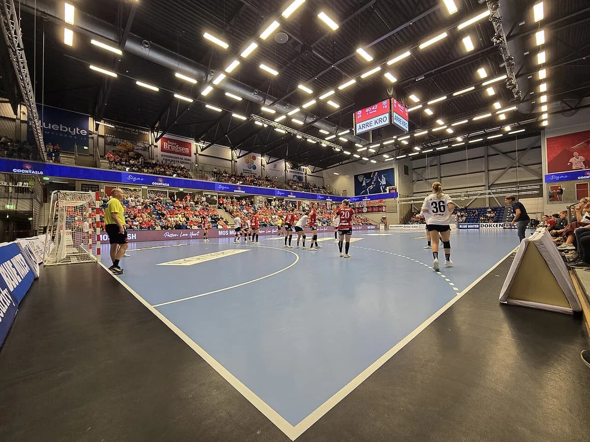 Women’s handball game in a packed indoor arena.